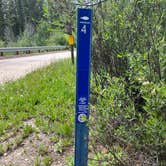 Review photo of Chapman Campground And Group Camp - White River NF by Renee H., July 2, 2024