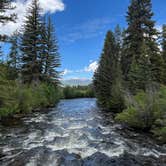 Review photo of Chapman Campground And Group Camp - White River NF by Renee H., July 2, 2024