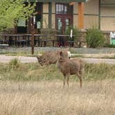 Review photo of Chatfield State Park Campground by Danette S., May 5, 2026