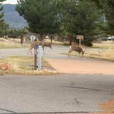 Review photo of Chatfield State Park Campground by Danette S., May 5, 2026