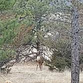 Review photo of Chatfield State Park Campground by Michelle G., February 21, 2026
