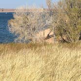 Review photo of Chatfield State Park Campground by Ioan P., October 15, 2024
