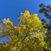 Review photo of Cherry Creek State Park Campground by Adam  B., October 9, 2025