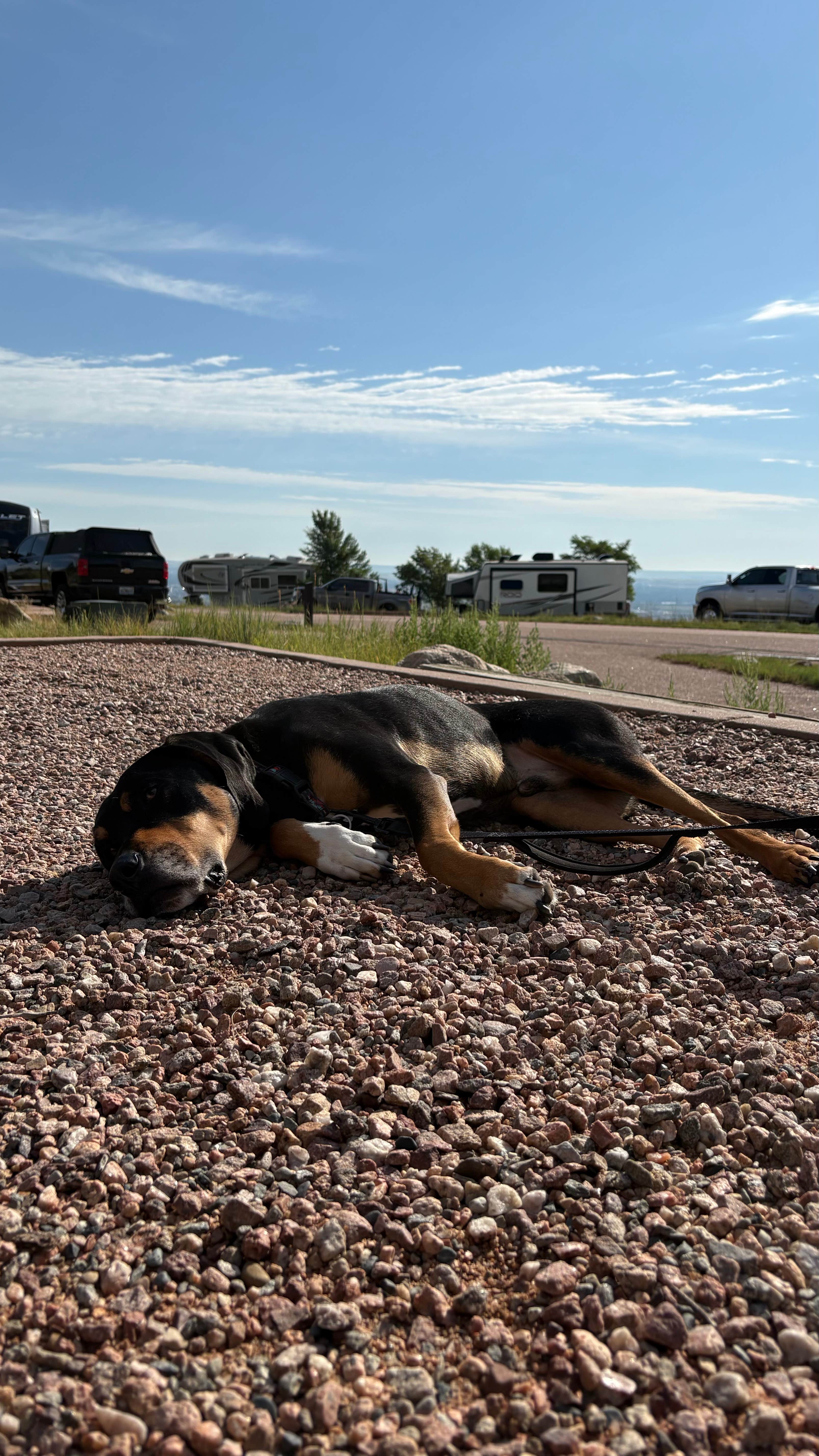 Emilie K.'s photo of camping with pets at Cheyenne Mountain State Park near Colorado Springs, CO