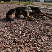 Review photo of Cheyenne Mountain State Park by Emilie K., August 3, 2025