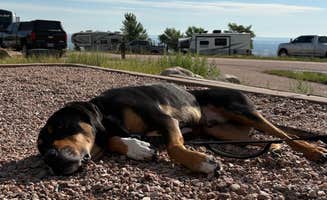 Emilie K.'s photo of camping with pets at Cheyenne Mountain State Park near Pueblo, CO