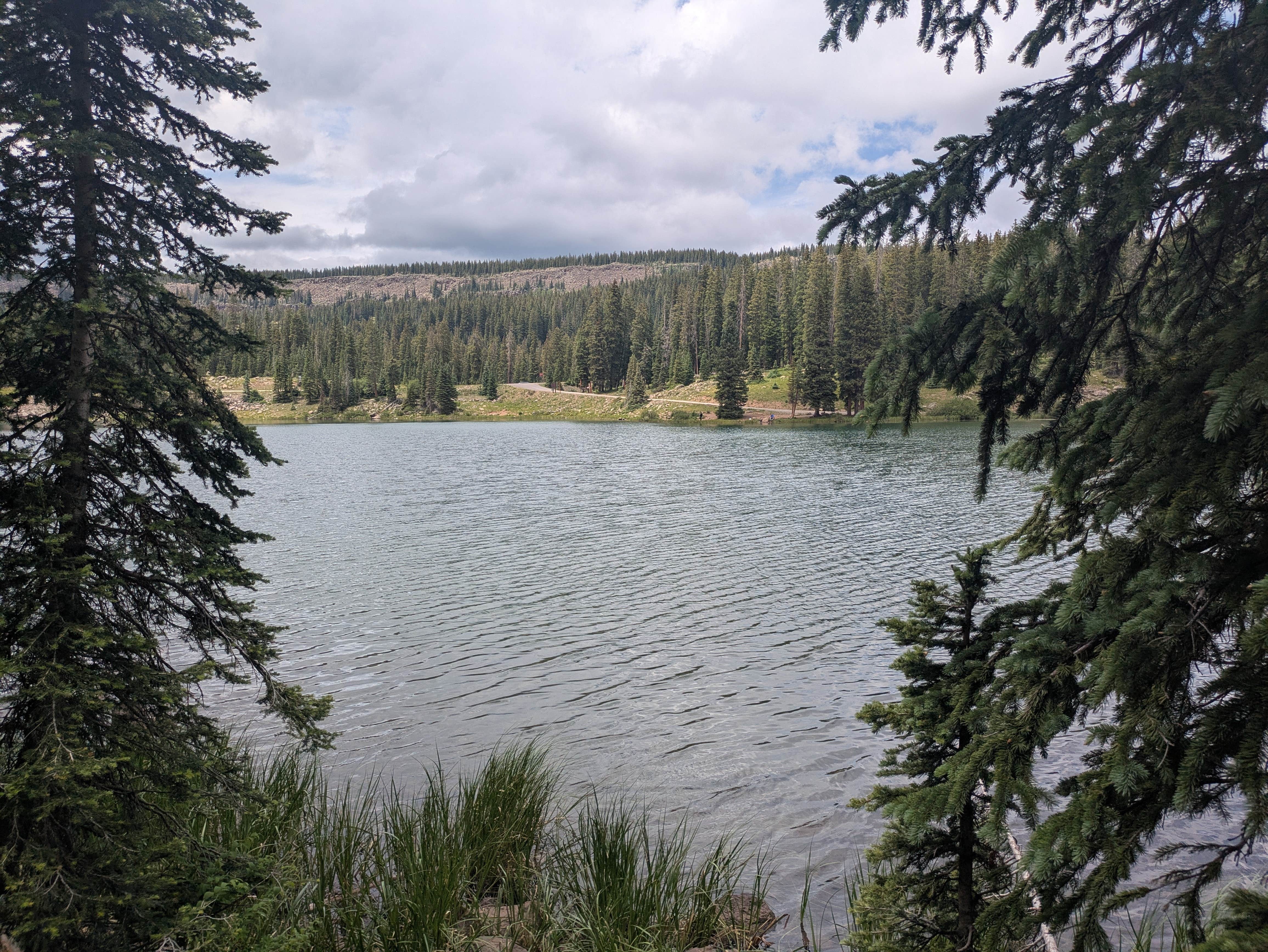 Camper-submitted photo at Cobbett Lake near Mesa Lakes, CO