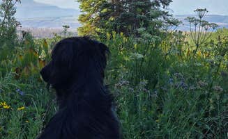 Lori W.'s photo of camping with pets at Coffee Pot Spring near Glenwood Springs, CO