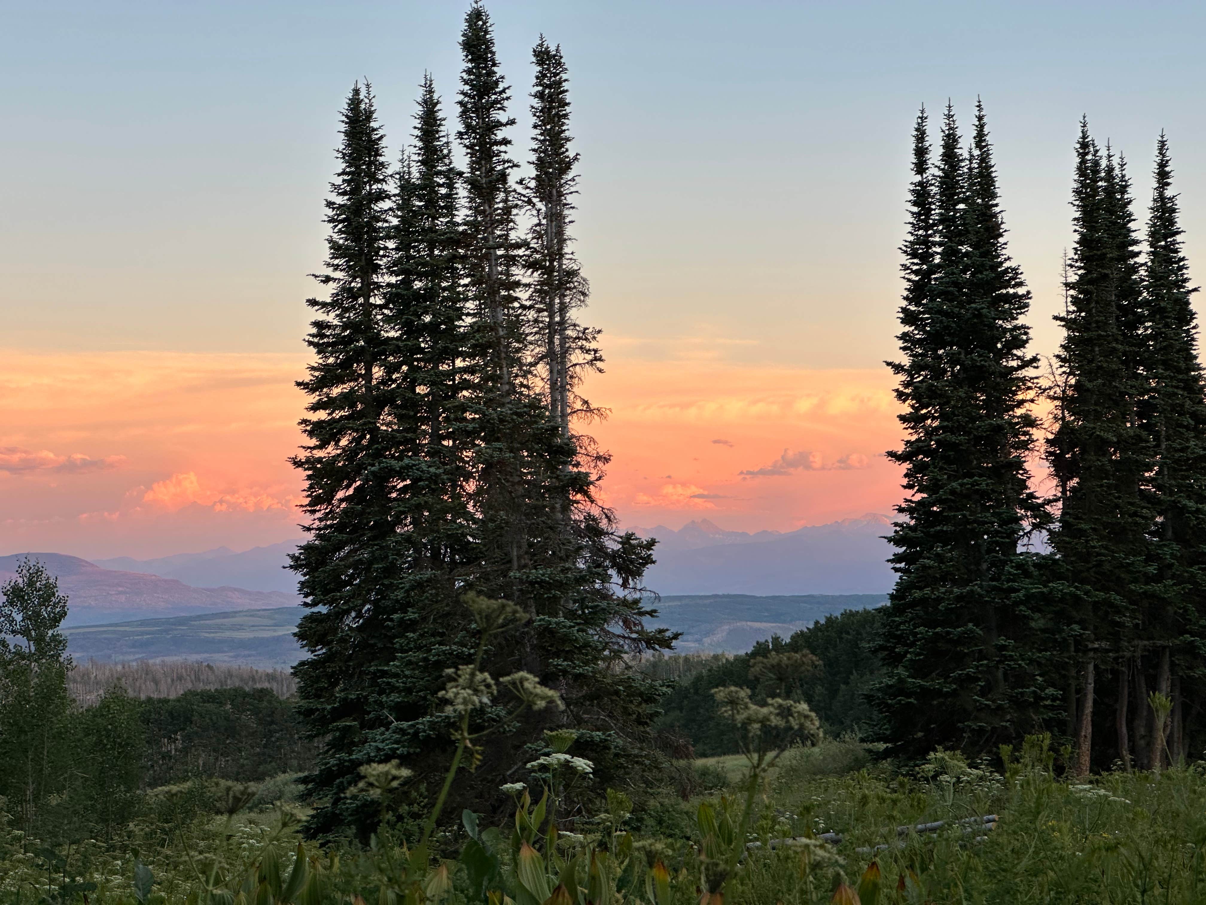 Camper-submitted photo at Coffee Pot Spring near Glenwood Springs, CO
