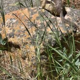 Review photo of Cold Springs - Arapaho Roosevelt Nf (CO) by Andrea B., September 9, 2026