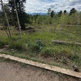 Review photo of Cold Springs - Arapaho Roosevelt Nf (CO) by Colby C., September 8, 2026