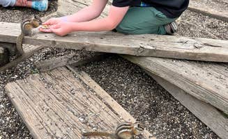 Sam W.'s photo of camping with pets at Collegiate Peaks near Buena Vista, CO