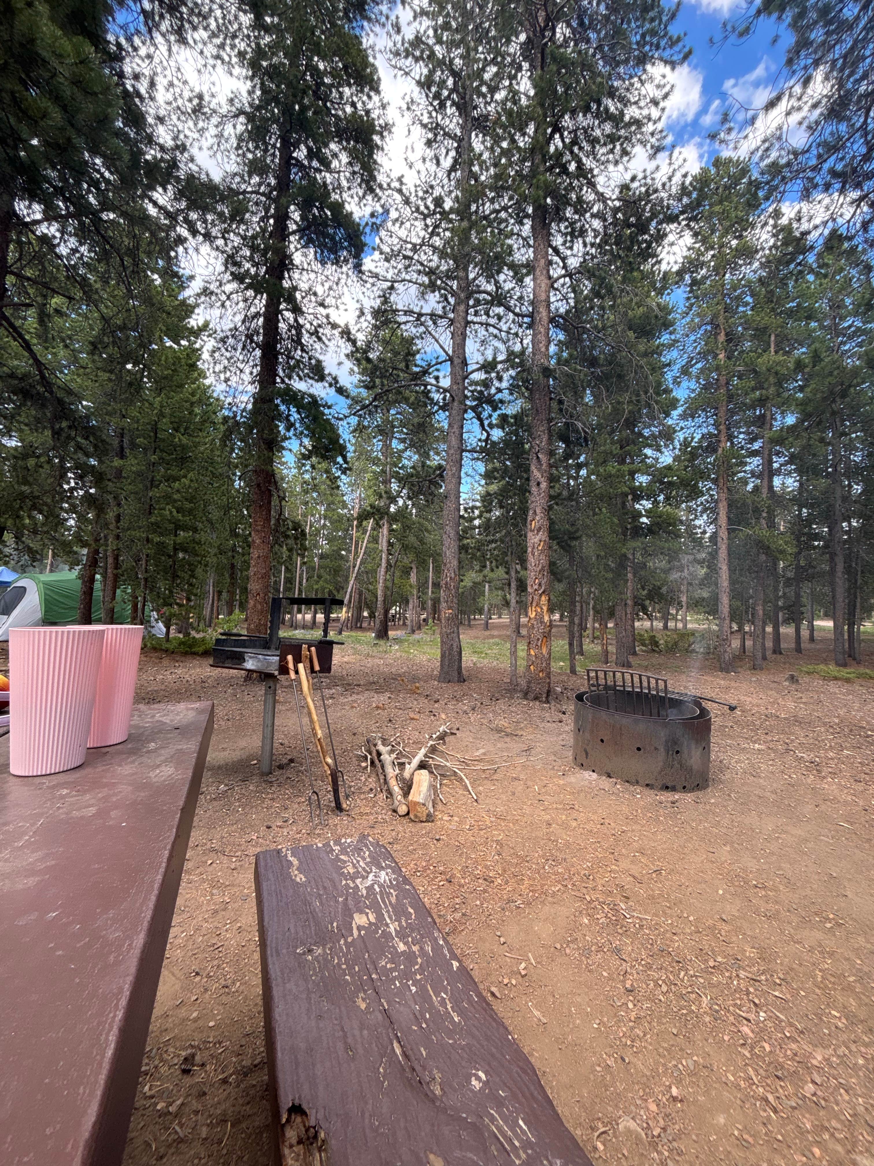 Amanda K.'s photo at Columbine Campground - Outside of Denver near Idaho Springs, CO
