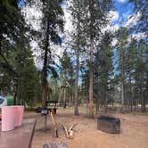 Review photo of Columbine Campground - Outside of Denver by Amanda K., June 30, 2025