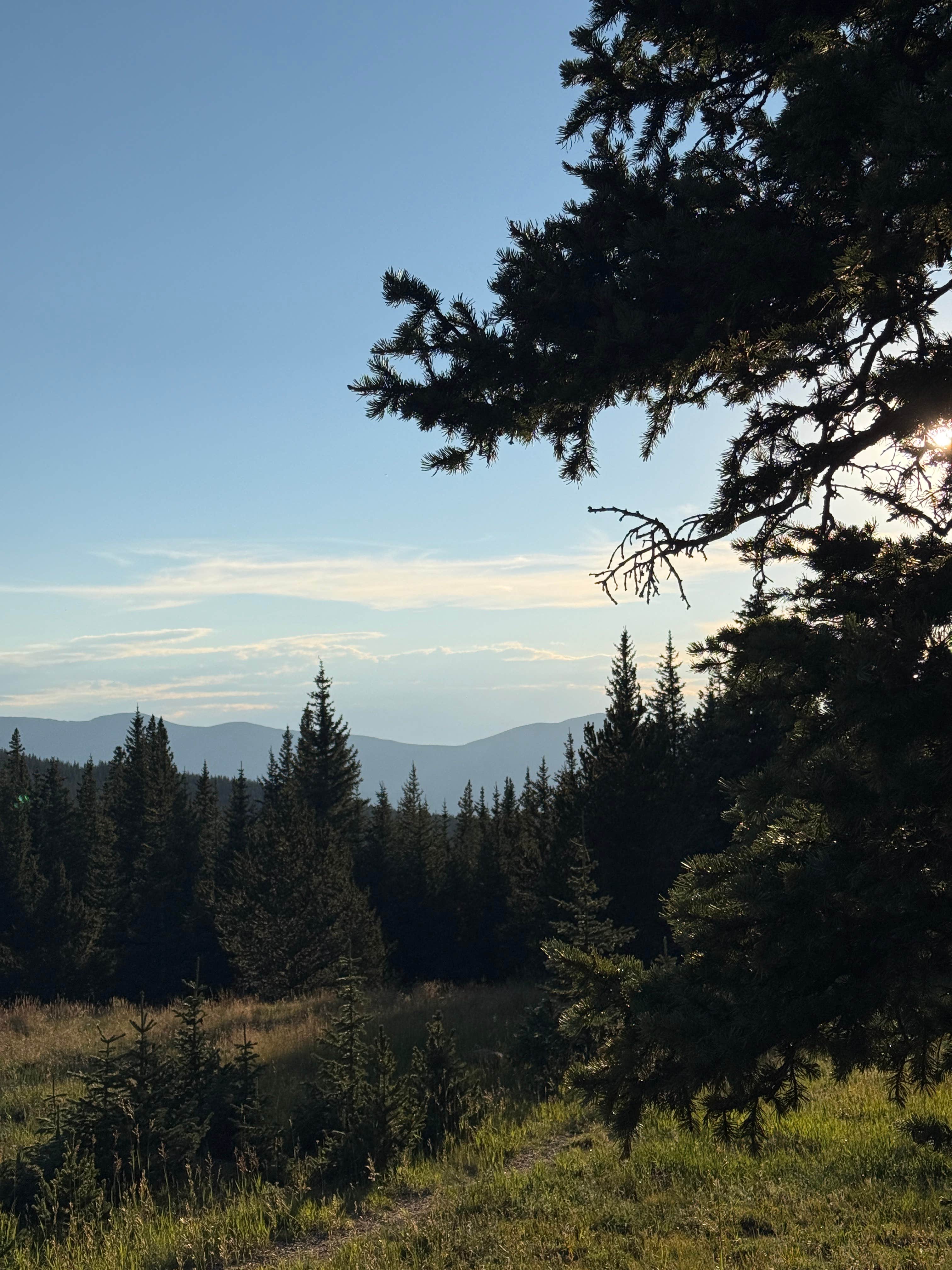 Camper-submitted photo at Cordova Pass near La Veta, CO