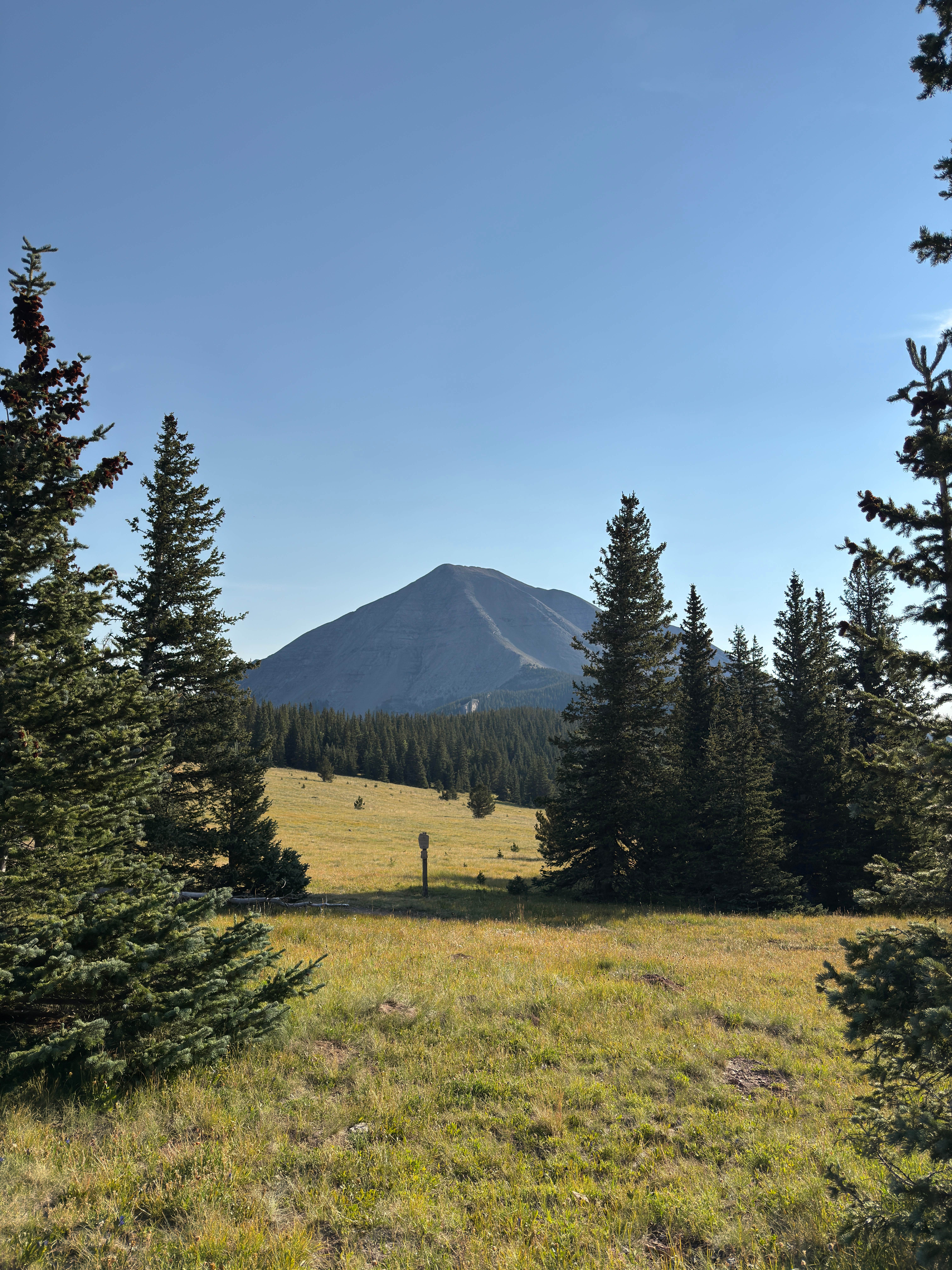 Camper-submitted photo at Cordova Pass near La Veta, CO