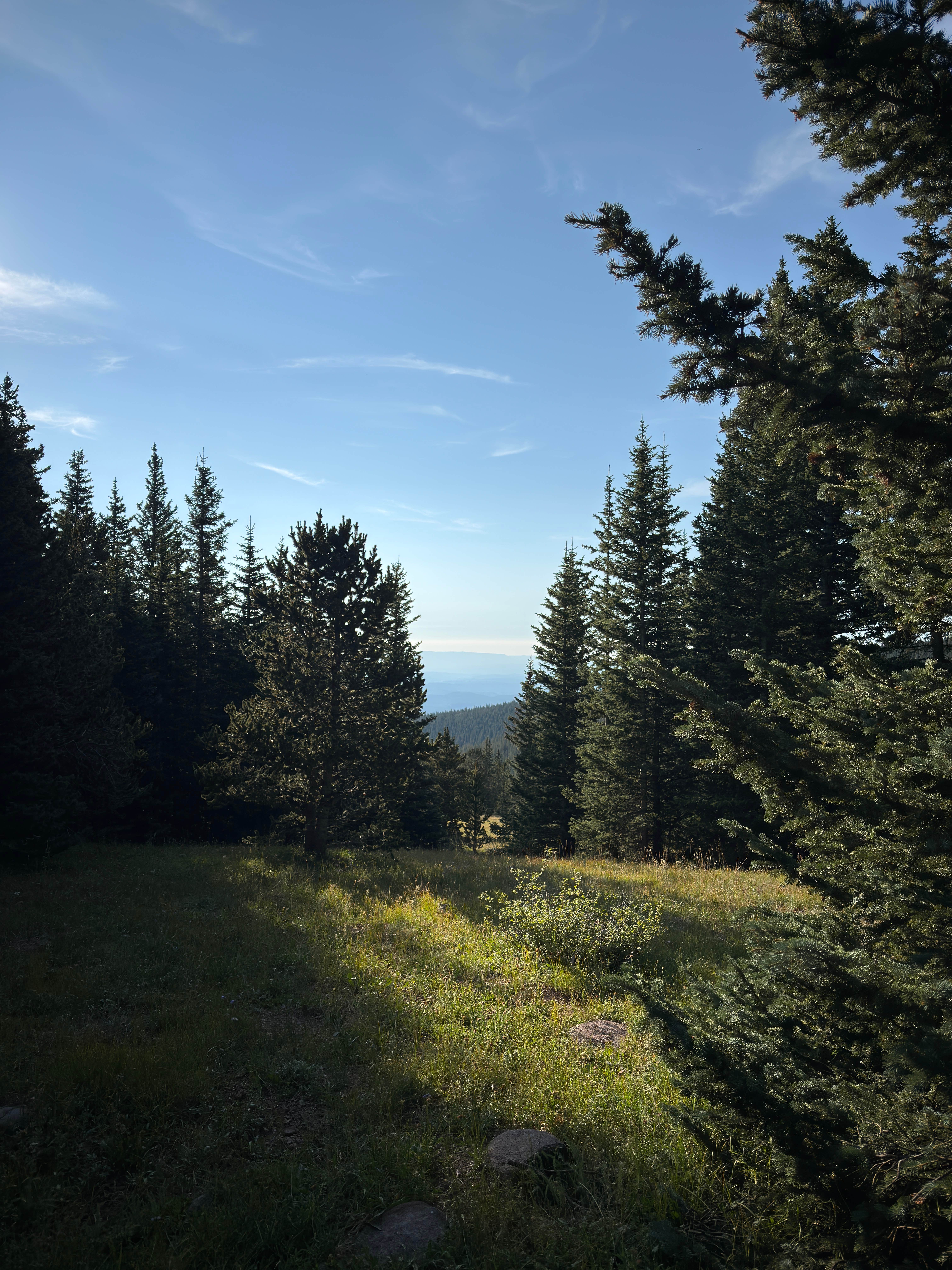 Camper-submitted photo at Cordova Pass near La Veta, CO