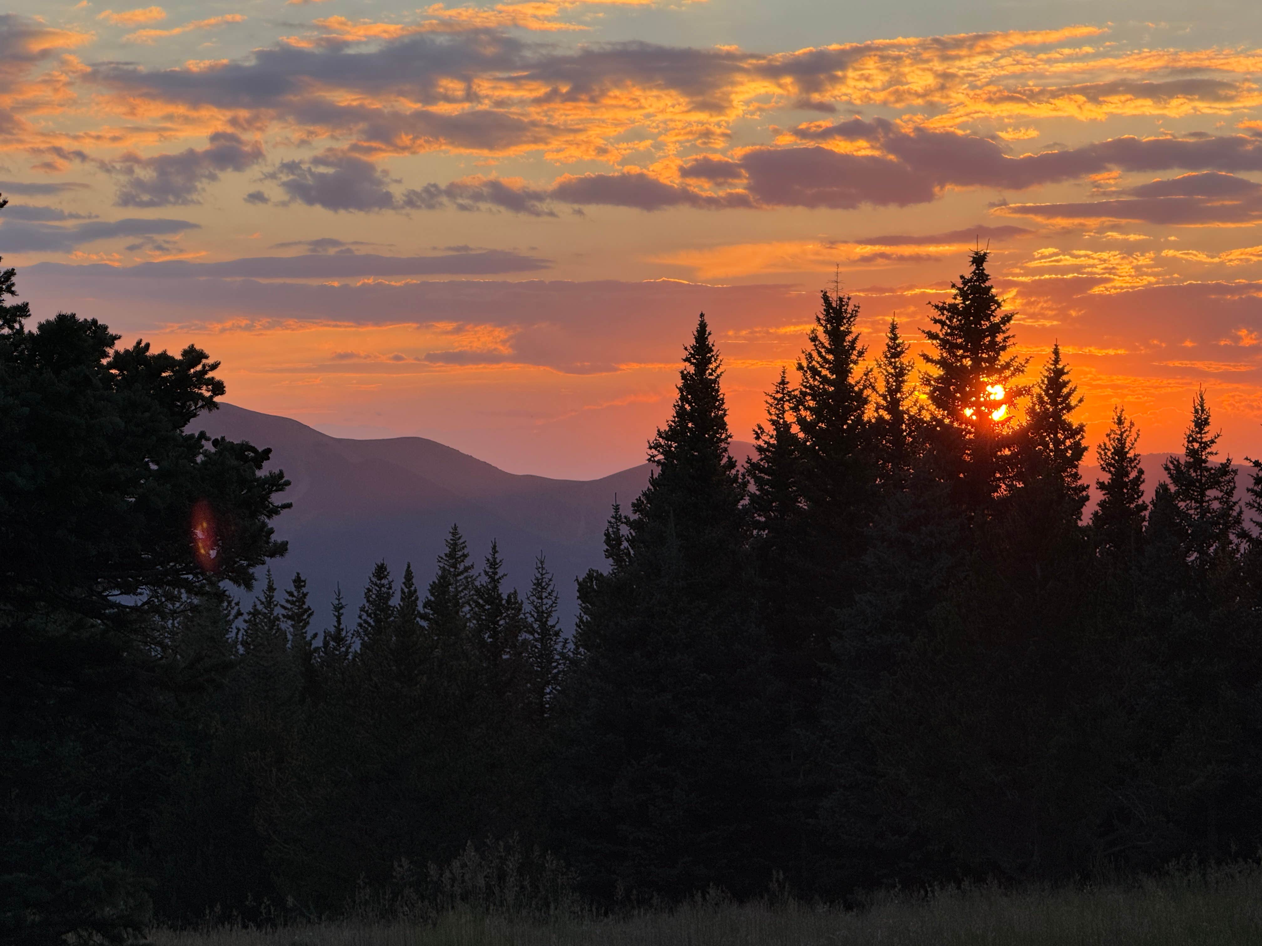 Camper-submitted photo at Cordova Pass near La Veta, CO