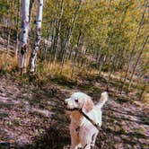 Review photo of Cottonwood Lake Campground by Jonathan/Natalie M., May 20, 2026