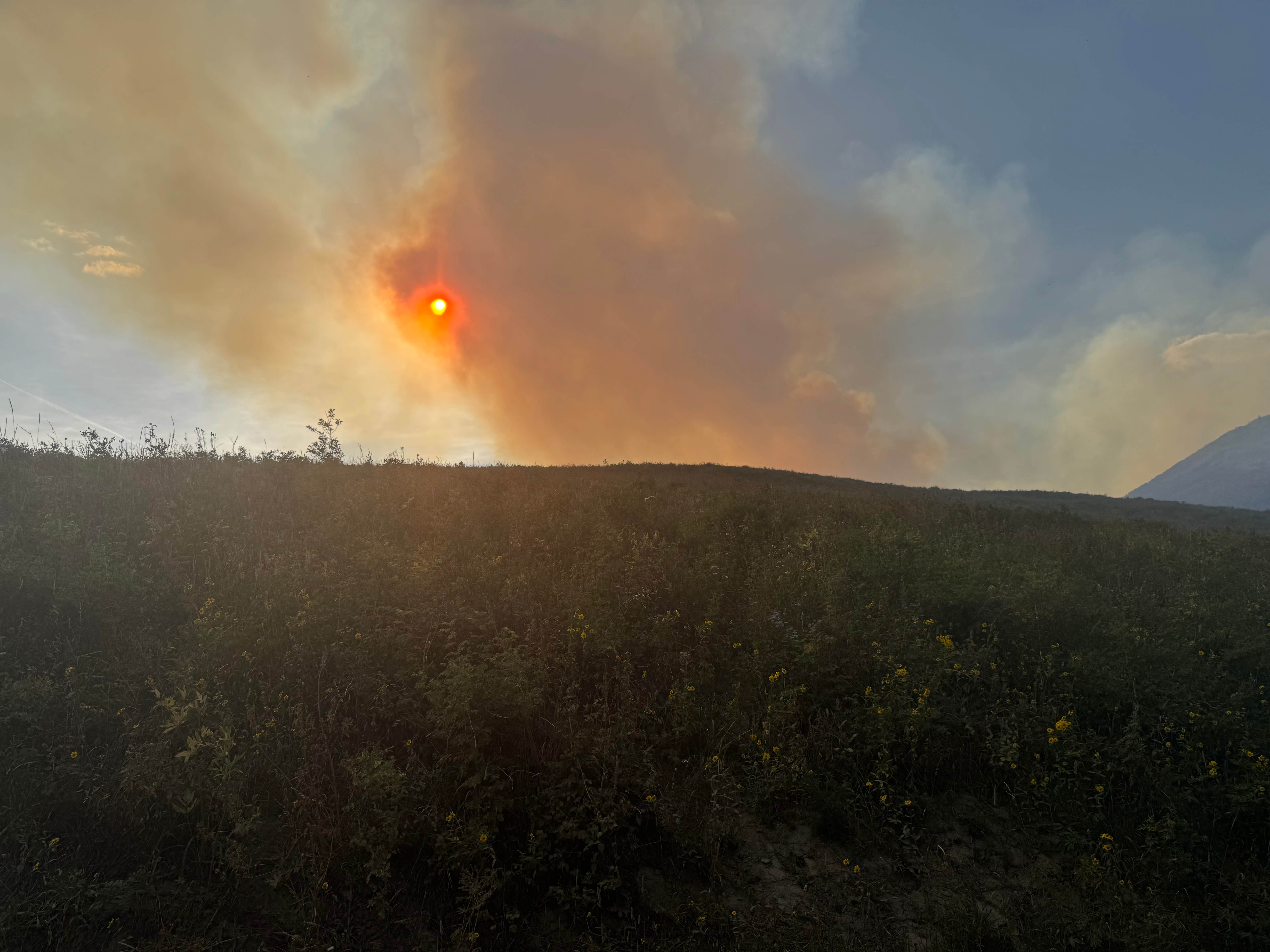 Camper submitted image from Crosho Lake Recreation Area - 1