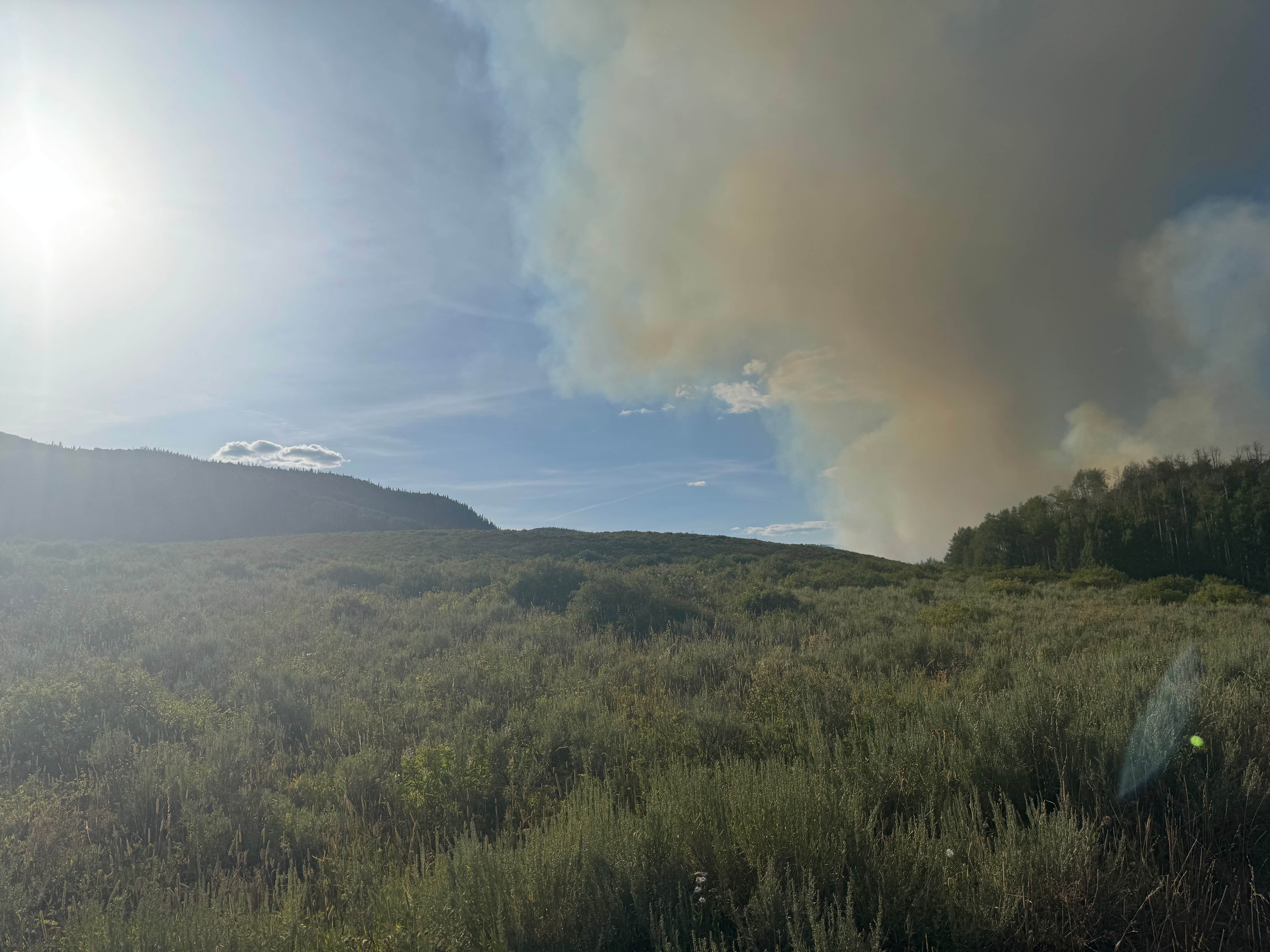Camper-submitted photo at Crosho Lake Recreation Area near Steamboat Springs, CO