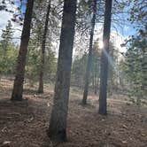 Review photo of Cub Creek Campground by Rick R., May 3, 2025