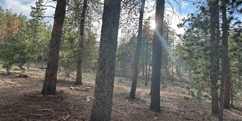 Camper submitted image from Cub Creek Campground