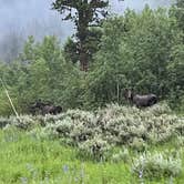 Review photo of Difficult Campground by Renee H., July 2, 2024
