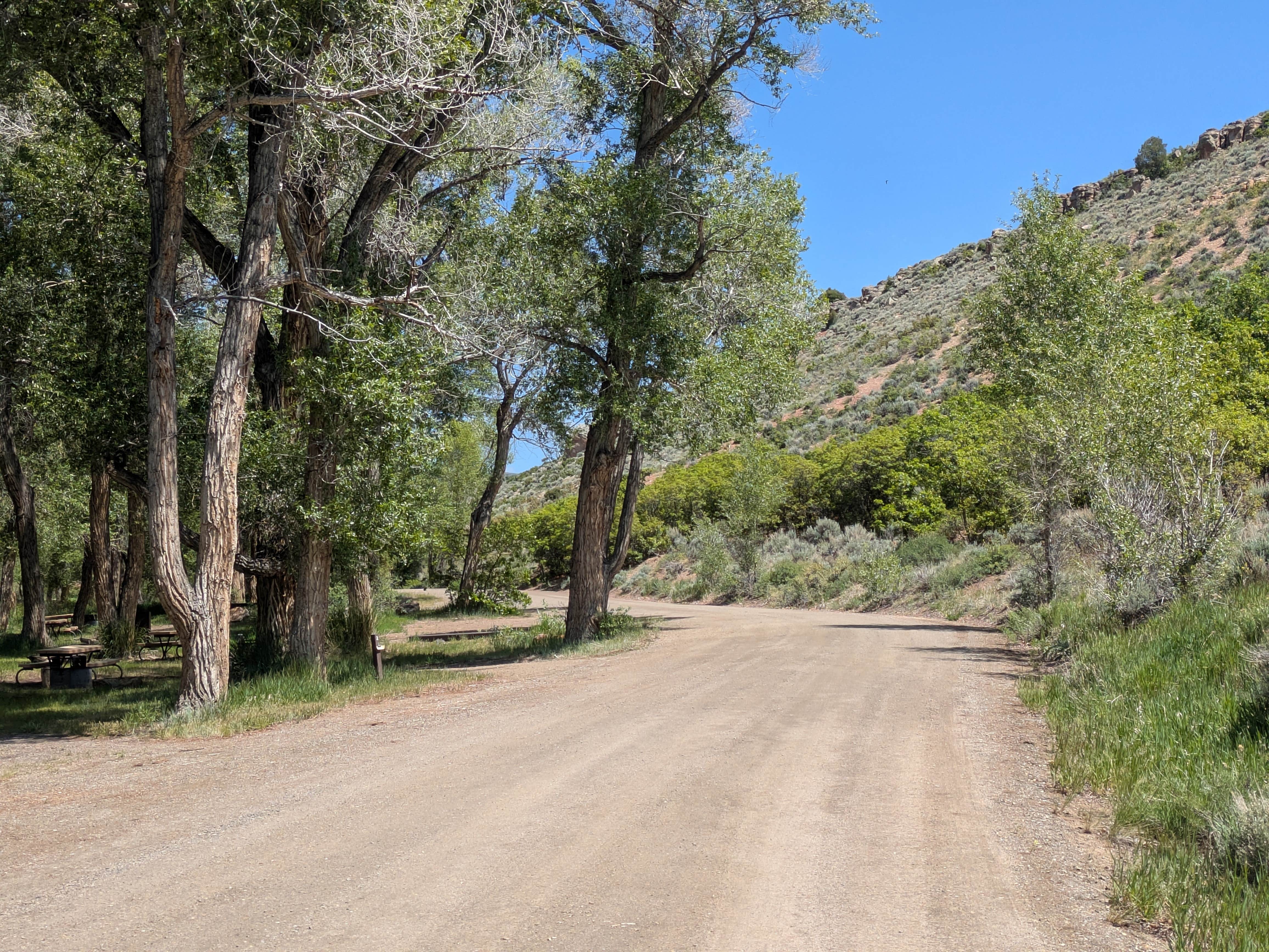 Camper submitted image from Dry Gulch Campground - 5