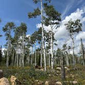 Review photo of Dry Lake Campground by Chad H., August 30, 2025