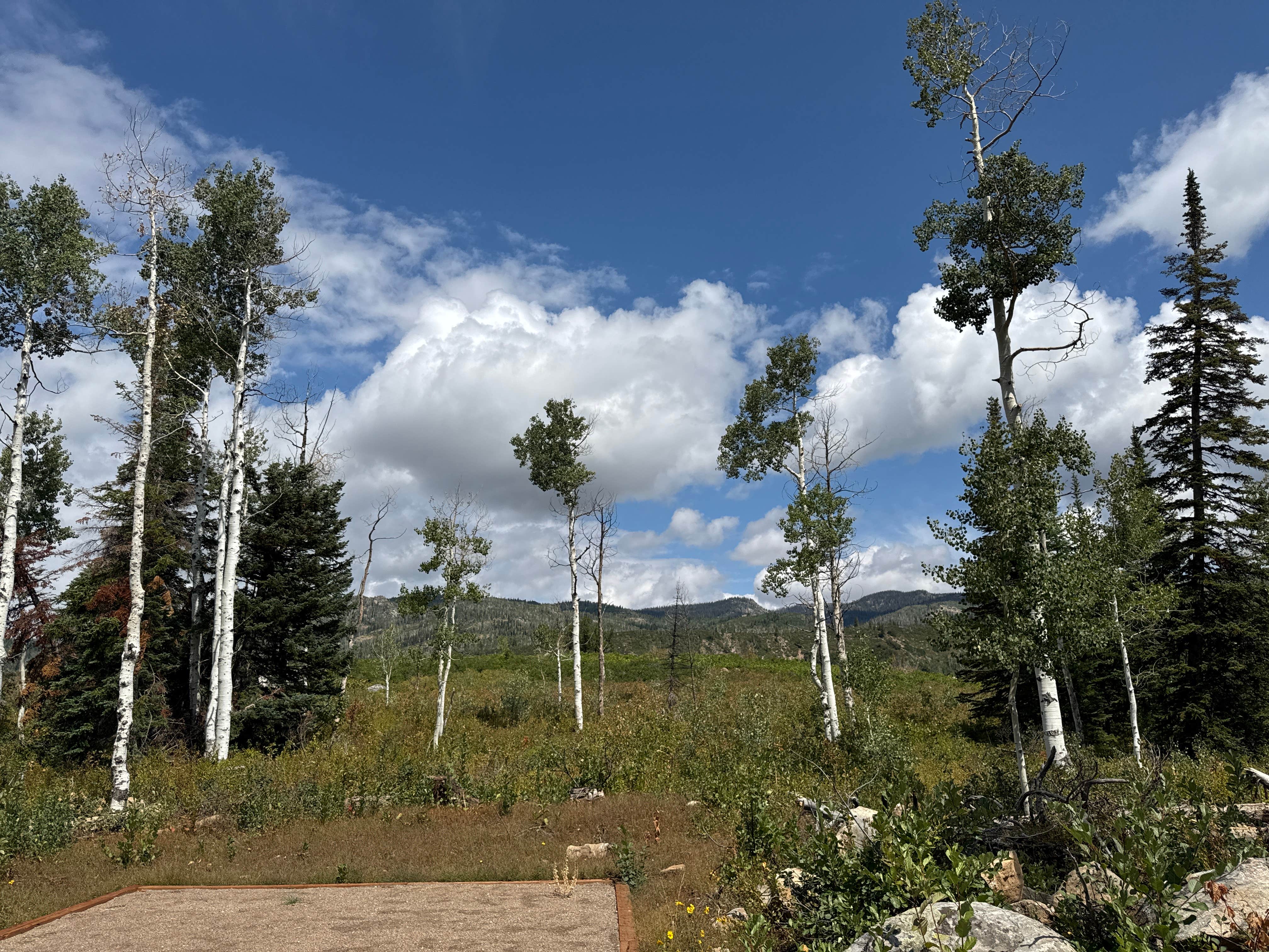 Camper-submitted photo at Dry Lake Campground near Steamboat Springs, CO