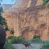 Review photo of Echo Park Campground Group Site — Dinosaur National Monument by Kerri H., May 29, 2026