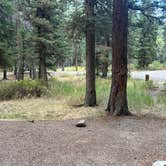 Review photo of Elk Creek Campground (rio Grande Nf) by Ruby M., September 8, 2026