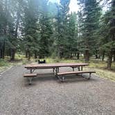 Review photo of Elk Creek Campground (rio Grande Nf) by Ruby M., September 8, 2026
