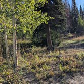 Review photo of Freeman Reservoir Campground by David M., September 18, 2025