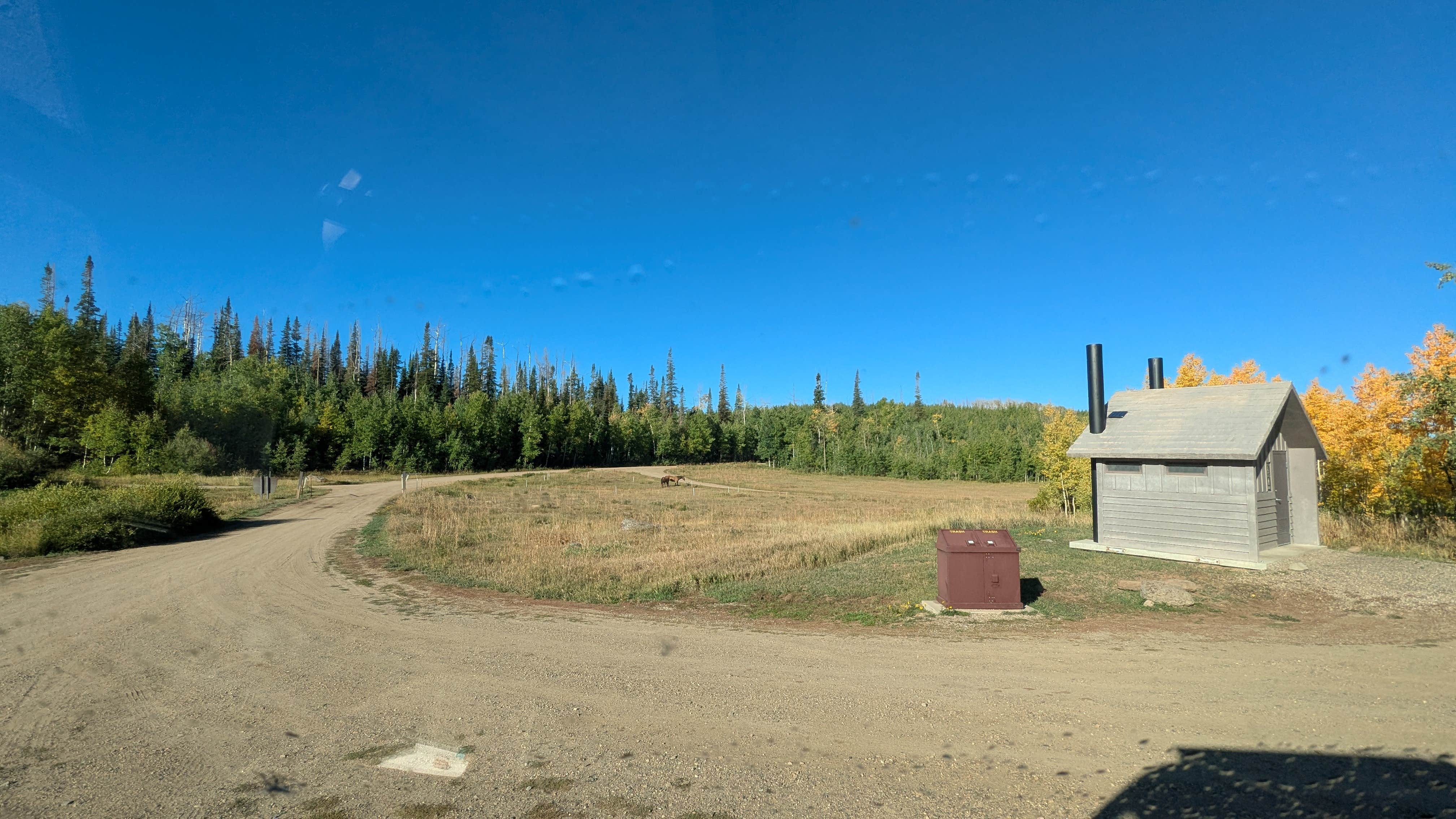 David M.'s photo of camping with pets at Freeman Reservoir Campground near Maybell, CO