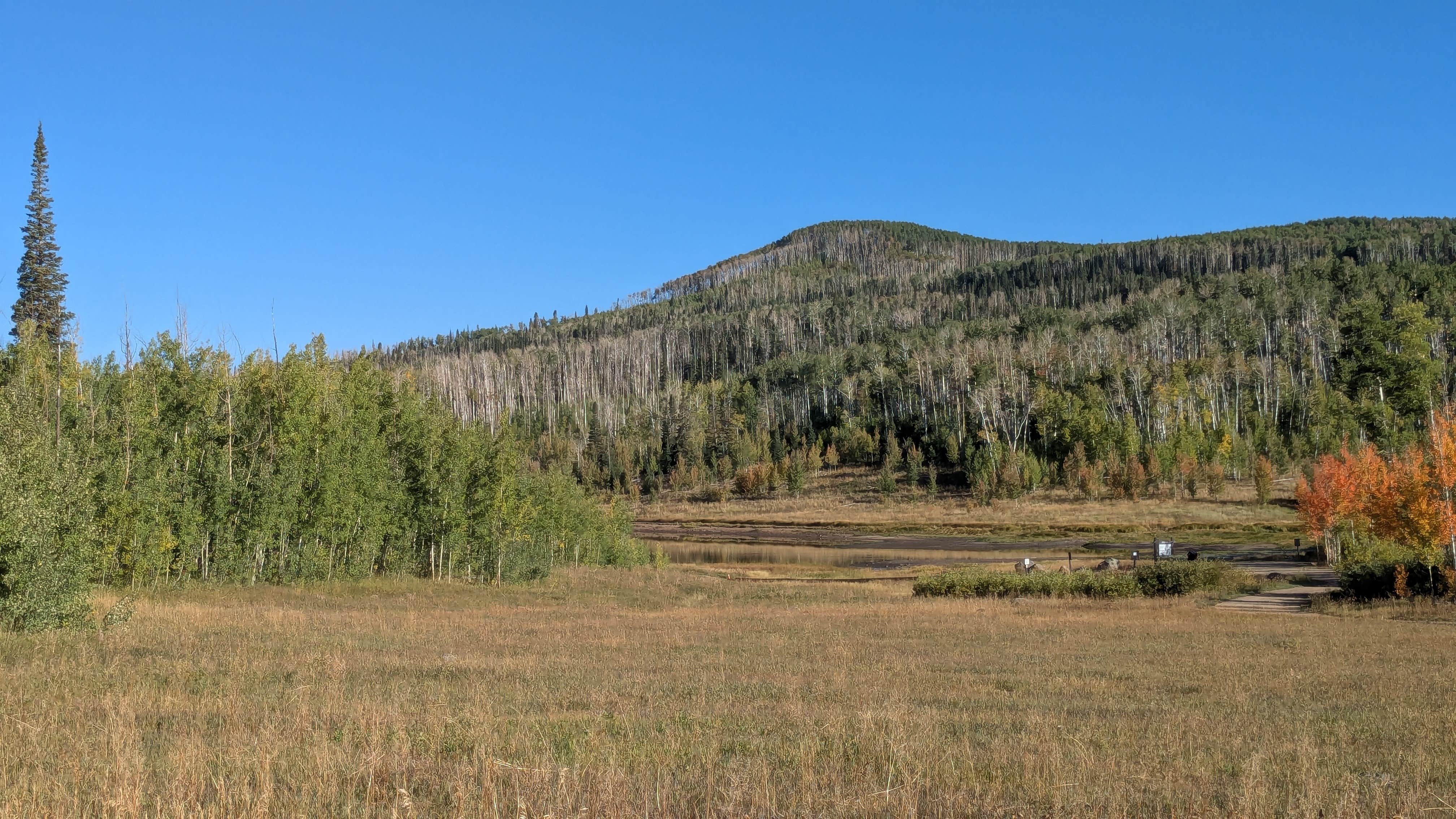 Camper-submitted photo at Freeman Reservoir Campground near Slater, CO