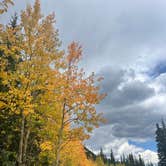 Review photo of Glacier Basin Campground — Rocky Mountain National Park by 870VERLAND , October 16, 2024