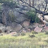 Review photo of Glacier Basin Campground — Rocky Mountain National Park by 870VERLAND , October 16, 2024