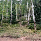 Review photo of Glacier Basin Campground — Rocky Mountain National Park by 870VERLAND , October 16, 2024