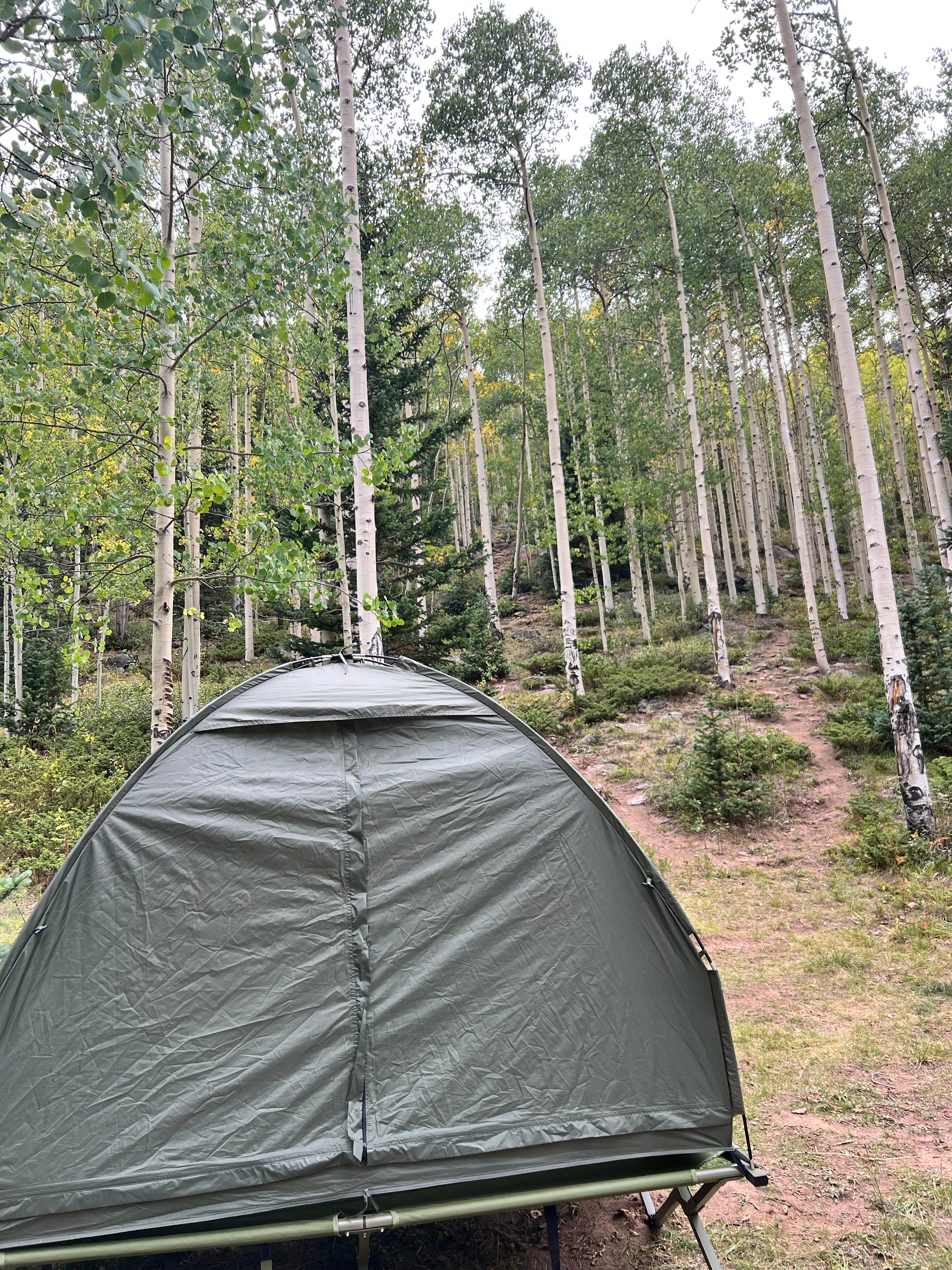 870VERLAND's photo at Glacier Basin Campground — Rocky Mountain National Park near Rocky Mountain National Park