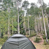 Review photo of Glacier Basin Campground — Rocky Mountain National Park by 870VERLAND , October 16, 2024