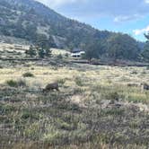 Review photo of Glacier Basin Campground — Rocky Mountain National Park by 870VERLAND , October 16, 2024