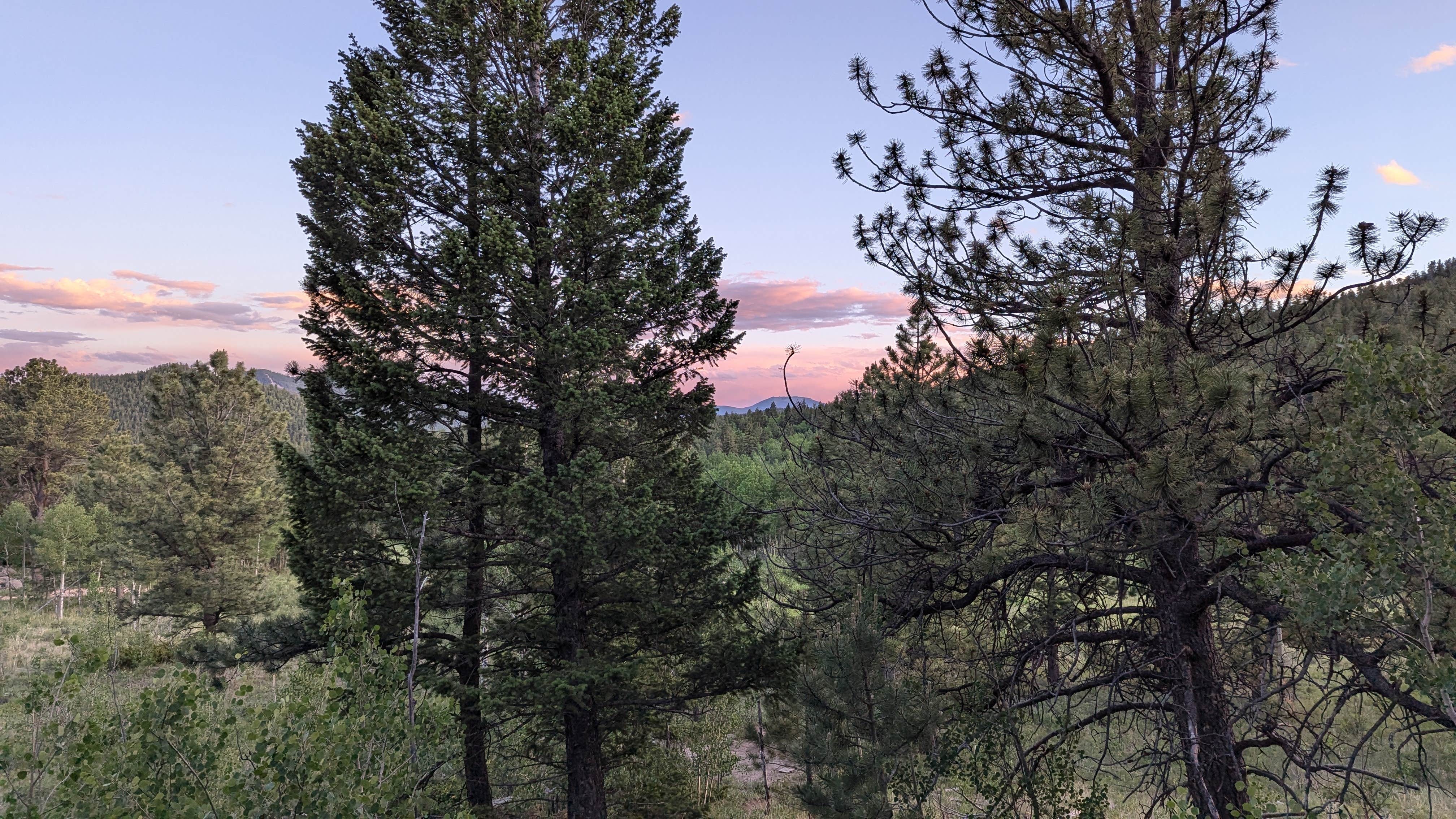 Camper-submitted photo at Frazer Meadow Campground — Golden Gate Canyon near Nederland, CO