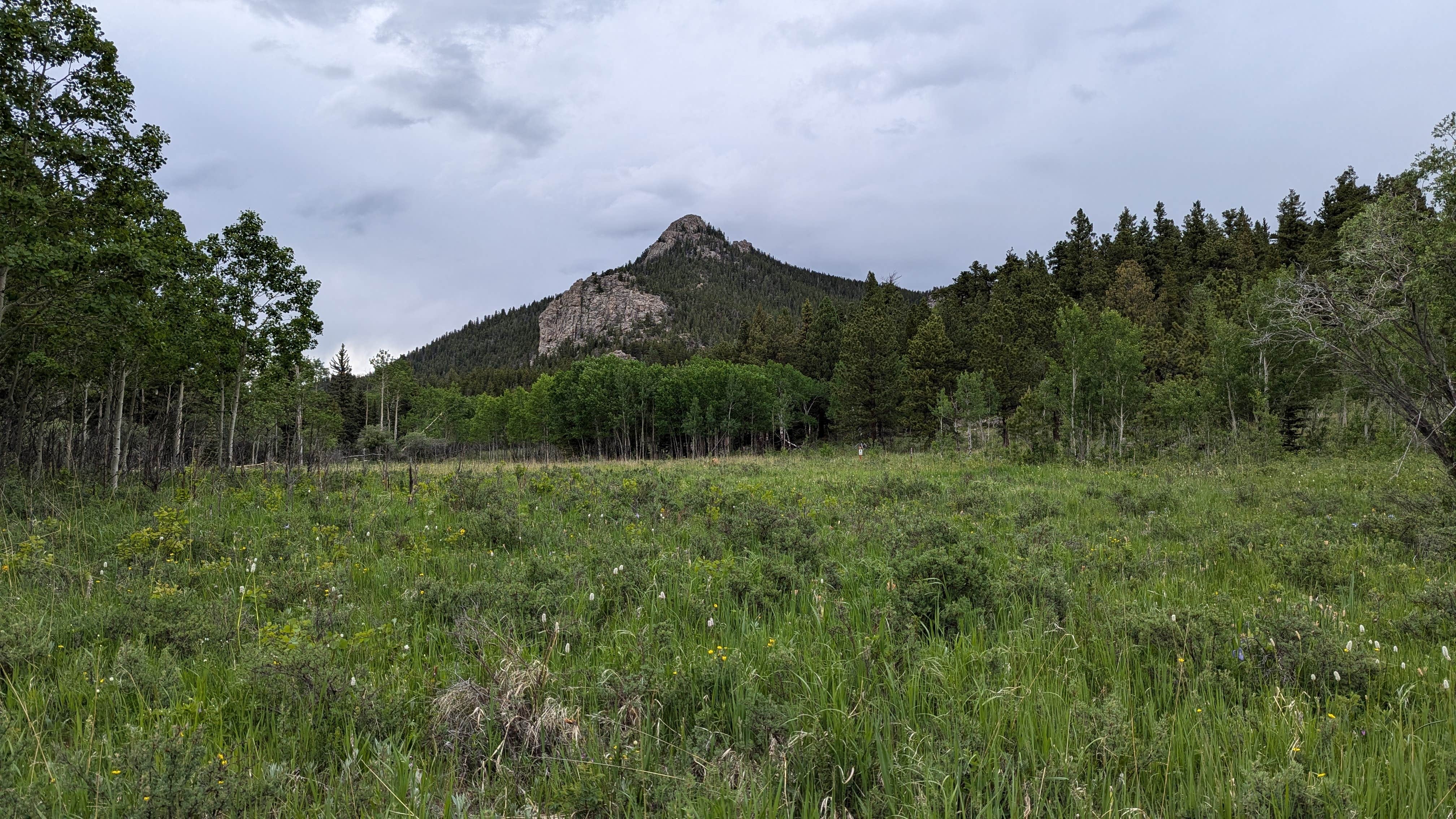 Camper-submitted photo at Frazer Meadow Campground — Golden Gate Canyon near Nederland, CO