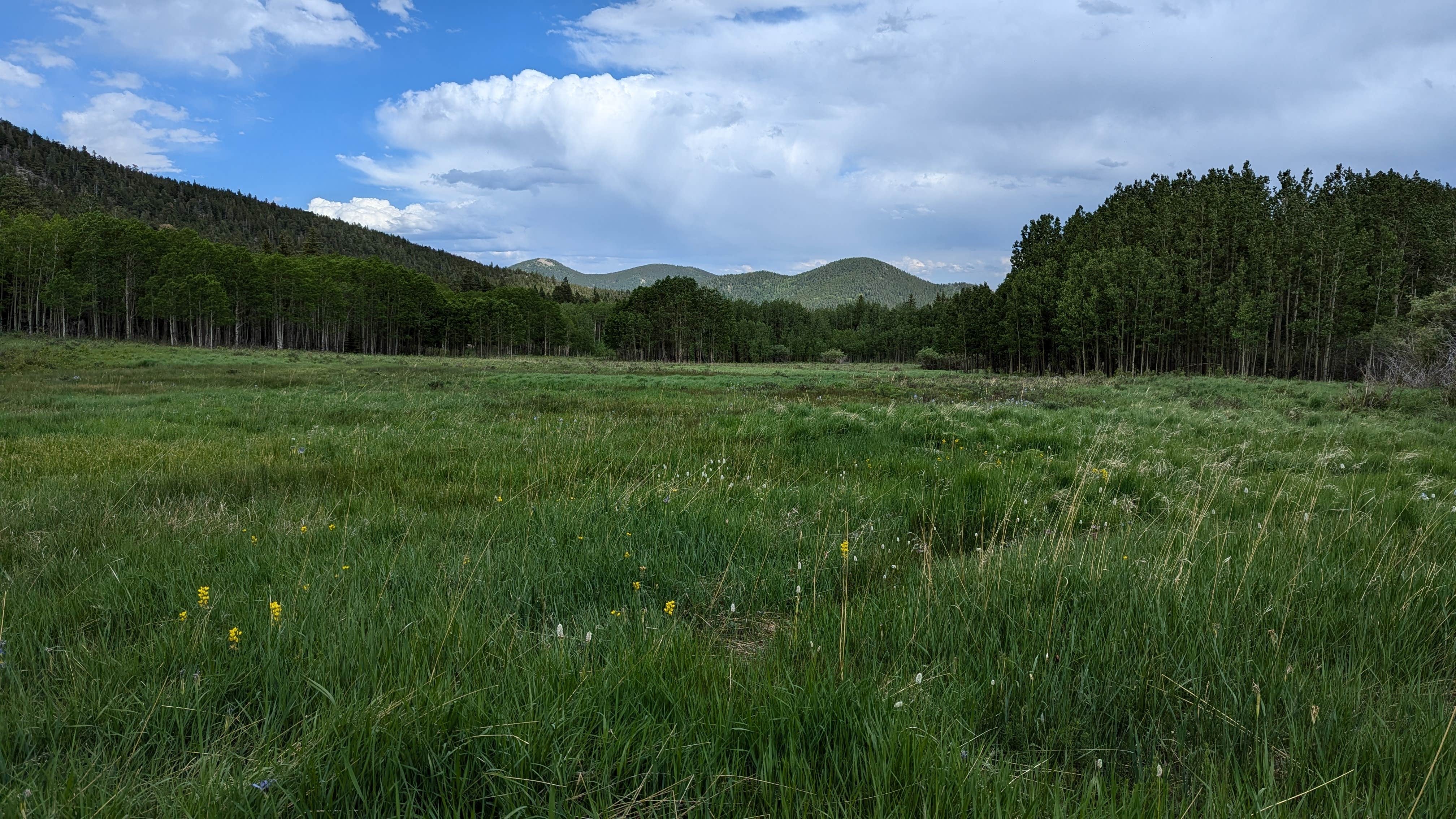 Camper-submitted photo at Frazer Meadow Campground — Golden Gate Canyon near Nederland, CO