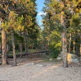 Review photo of Reverend's Ridge Campground — Golden Gate Canyon by Jasmine A., August 11, 2026