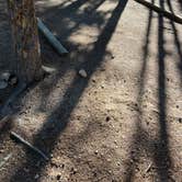 Review photo of Reverend's Ridge Campground — Golden Gate Canyon by Lila B., September 20, 2023