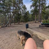 Review photo of Reverend's Ridge Campground — Golden Gate Canyon by Lauren K., July 22, 2026