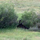 Review photo of Reverend's Ridge Campground — Golden Gate Canyon by Jasmine A., August 11, 2026